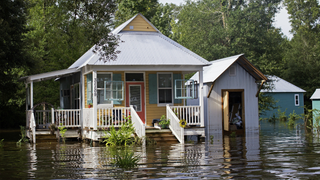 Louisiana Gov Tells Trump to Volunteer, Make a 'Sizable Donation' or Get the Fuck Out of His Face